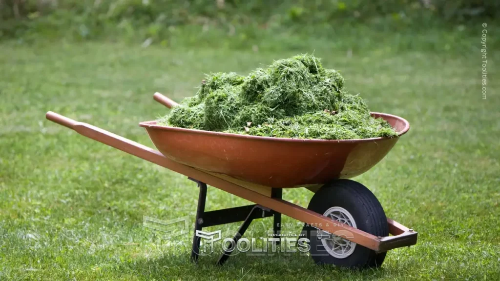 how-often-to-mow-lawn-Grass-Clipping